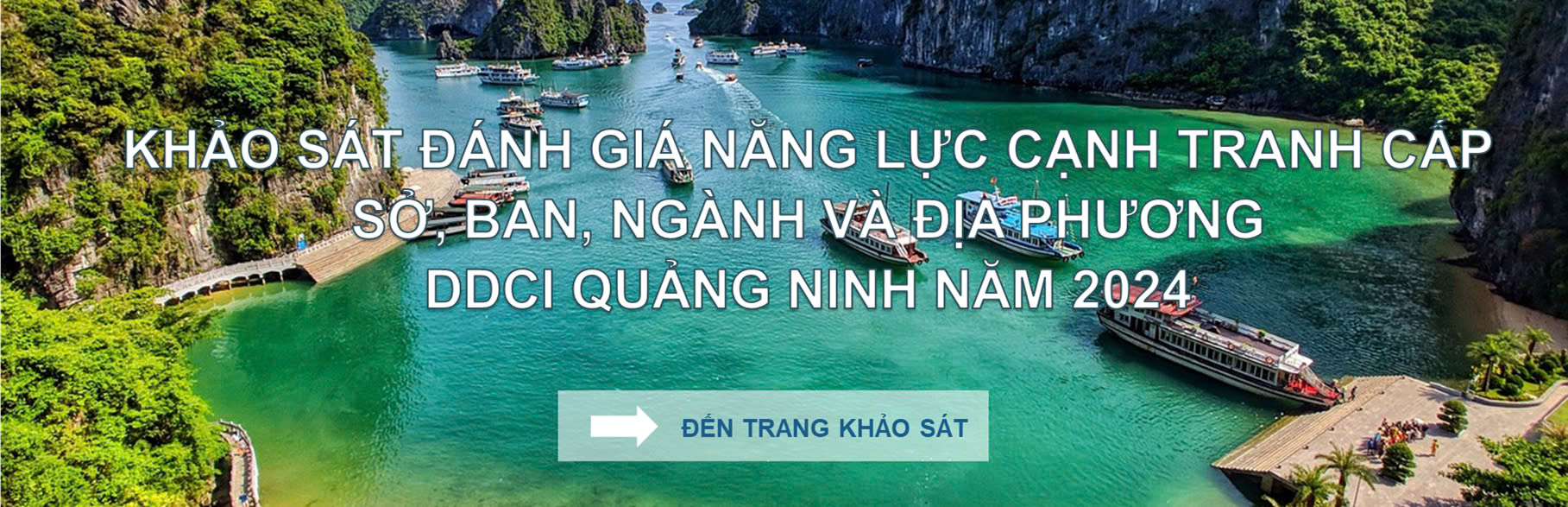 KHẢO SÁT DDCI 2023